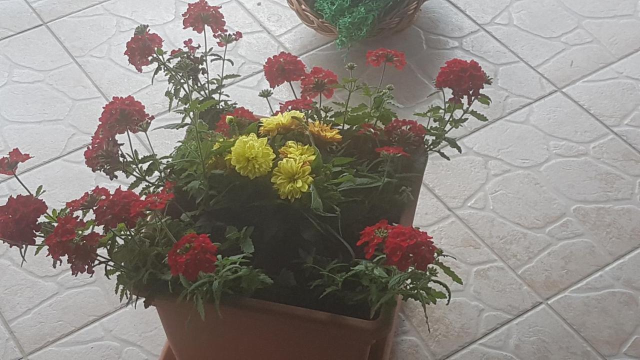 Apartmani Ksenija Krapinske Toplice Esterno foto