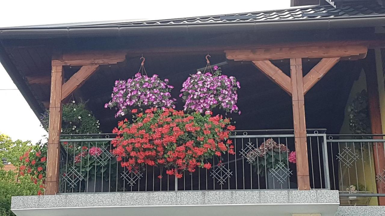 Apartmani Ksenija Krapinske Toplice Esterno foto